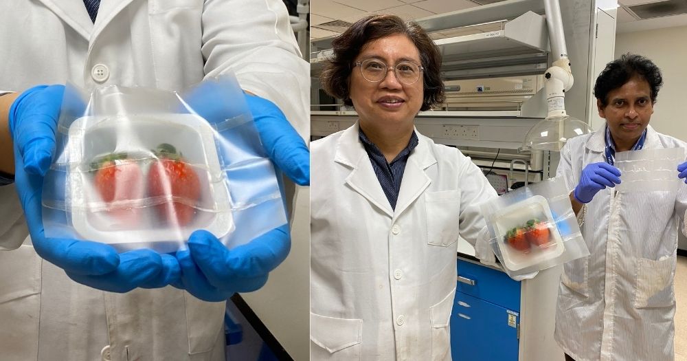 可生物降解的柔性食品包裝_http://www.latina-restaurant.com_新聞資訊_第1張