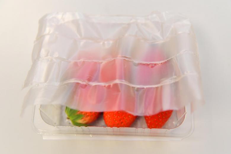 可生物降解的柔性食品包裝_http://www.latina-restaurant.com_新聞資訊_第2張