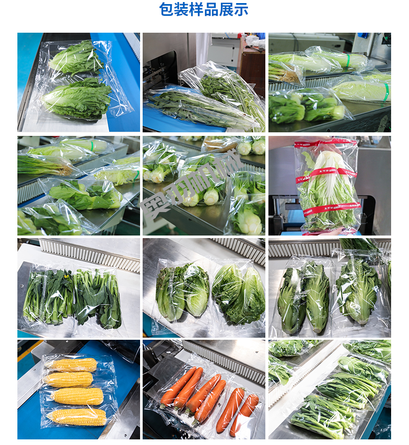 速凍蔬菜前景可期 速凍工藝打造品質(zhì)高地_http://www.latina-restaurant.com_新聞資訊_第2張